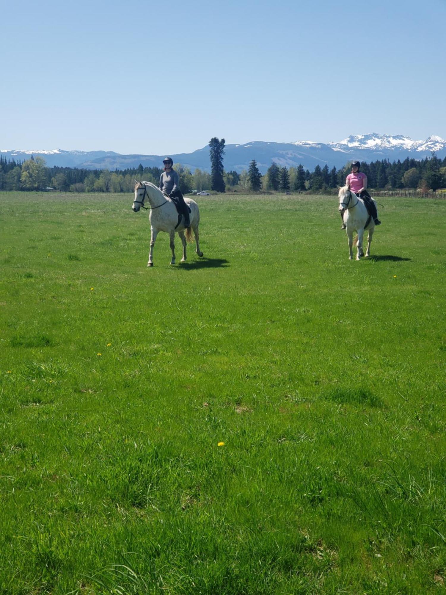 Paradise Acres Ranch Nanoose Bay Dış mekan fotoğraf