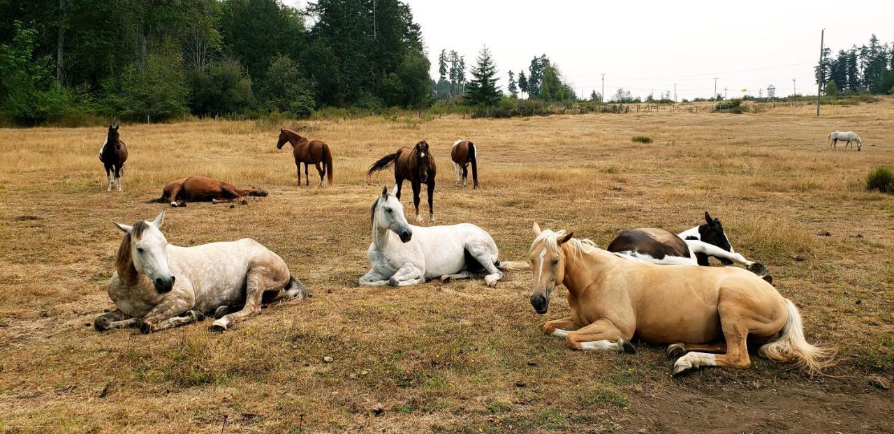 Paradise Acres Ranch Nanoose Bay Dış mekan fotoğraf