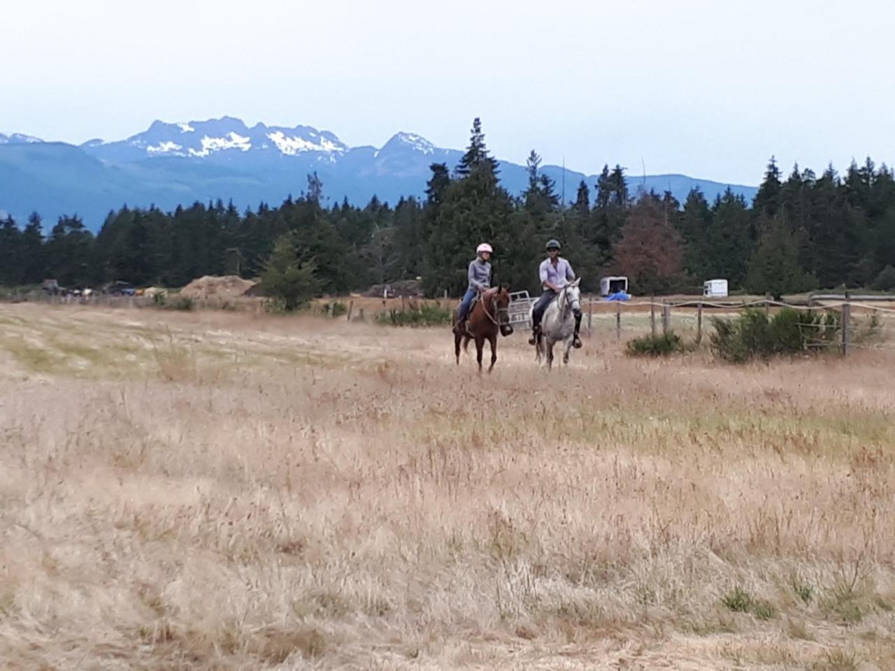 Paradise Acres Ranch Nanoose Bay Dış mekan fotoğraf