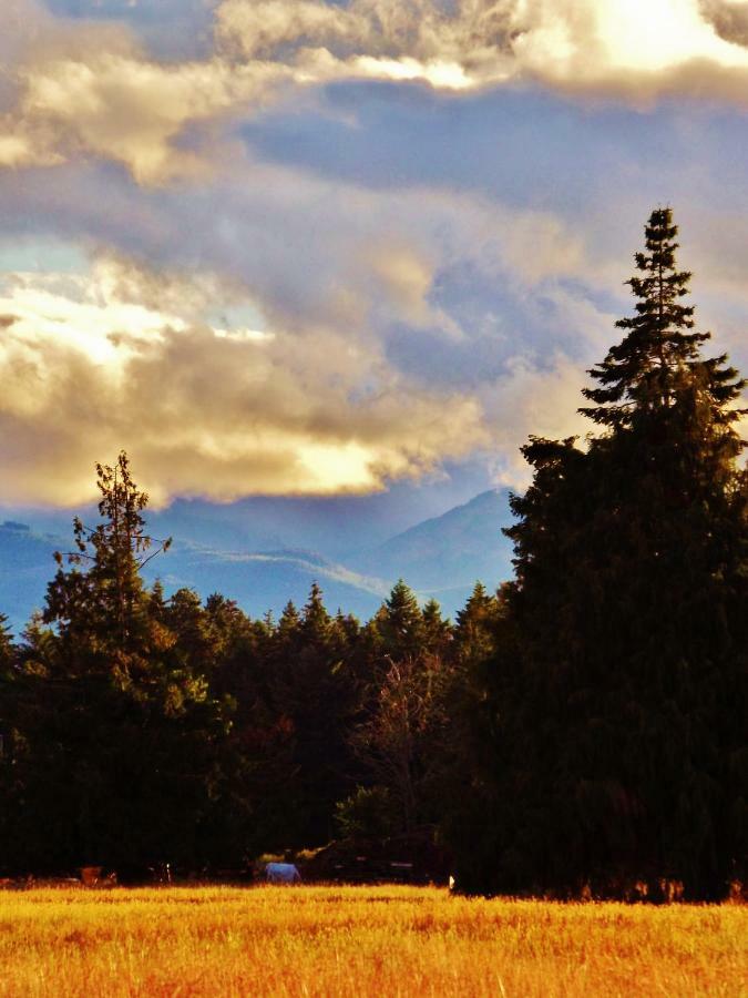 Paradise Acres Ranch Nanoose Bay Dış mekan fotoğraf