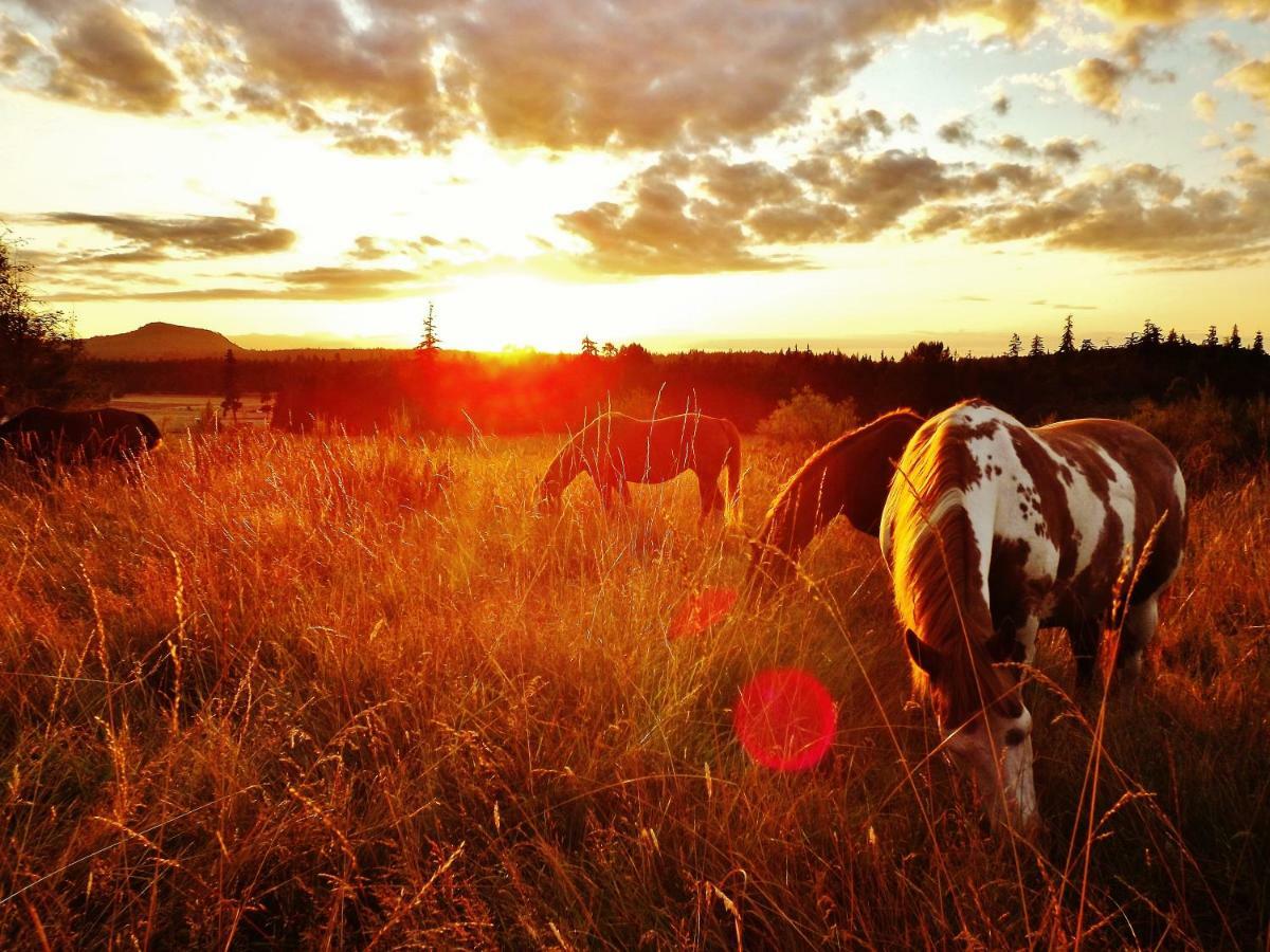 Paradise Acres Ranch Nanoose Bay Dış mekan fotoğraf